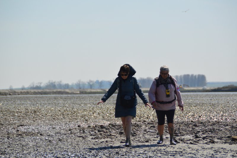 cm1-baie-03 cm1-baie-03