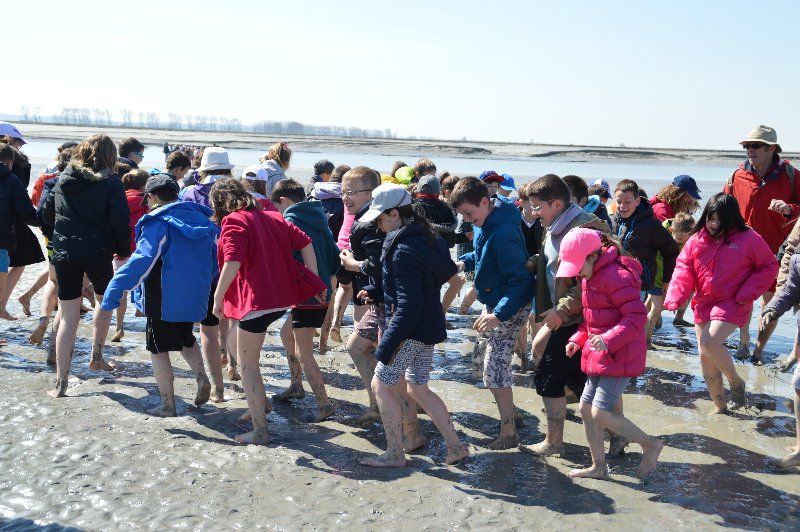 cm1-baie-06 cm1-baie-06