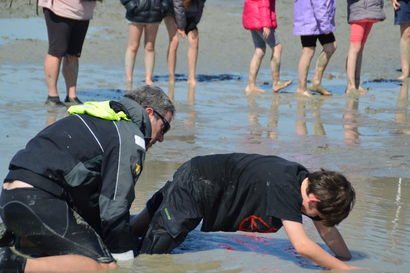 cm1-baie-10 cm1-baie-10