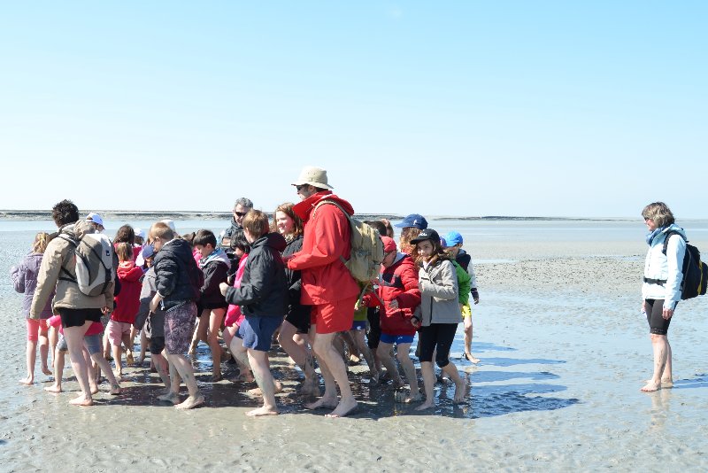 cm1-baie-13 cm1-baie-13