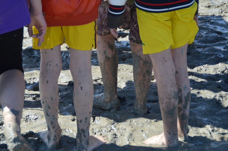 cm1-baie-18 cm1-baie-18