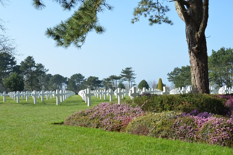 cm1-cimetiere-13 cm1-cimetiere-13