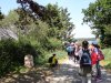 CM1-2018-Ile-14